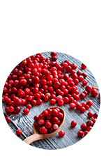 Ingredient 1